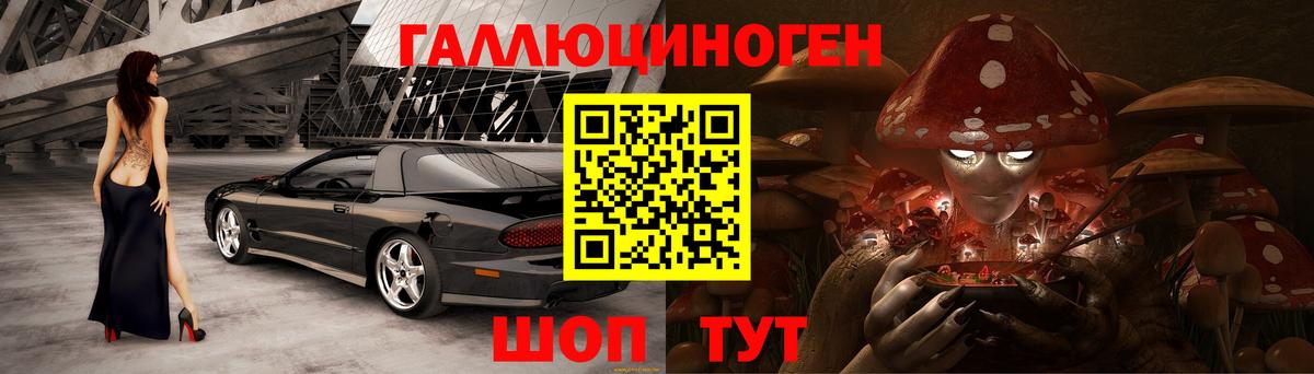 Галлюциногенные грибы Psilocybine cubensis Лысьва